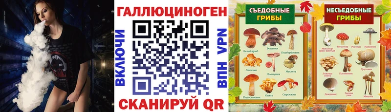 купить  сайты  Шагонар  Псилоцибиновые грибы прущие грибы 
